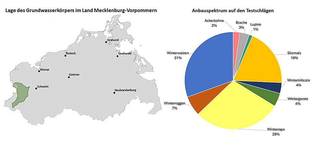 Lage des Grundwasserkörpers SU 2 (grün) im Land Mecklenburg-Vorpommern (links) und flächenbezogene Anbaustruktur 2024 auf den 72 Testschlägen im Testgebiet "Schilde" (rechts). (Abbildung links: Karte = stepmap.de, GWK © JKI, Abbildung rechts: © IGLU).