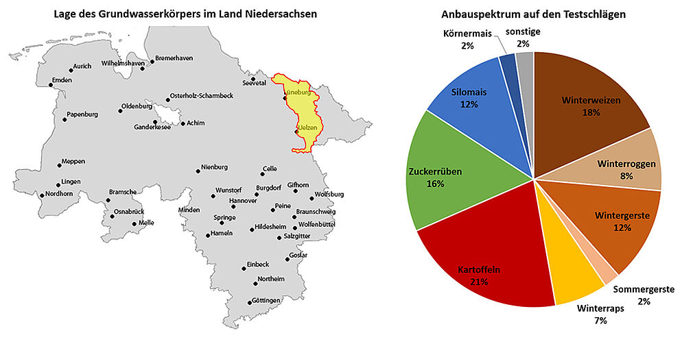 Lage des Grundwasserkörpers GWK NI 11_1 (gelb) in Niedersachsen (links) und flächenbezogene Anbaustruktur 2024 auf den 144 Testschlägen im Testgebiet "Ilmenau Lockergestein, rechts" (rechts). (Abbildung links: Karte = stepmap.de, GWK und Anbauspektrum © INGUS).