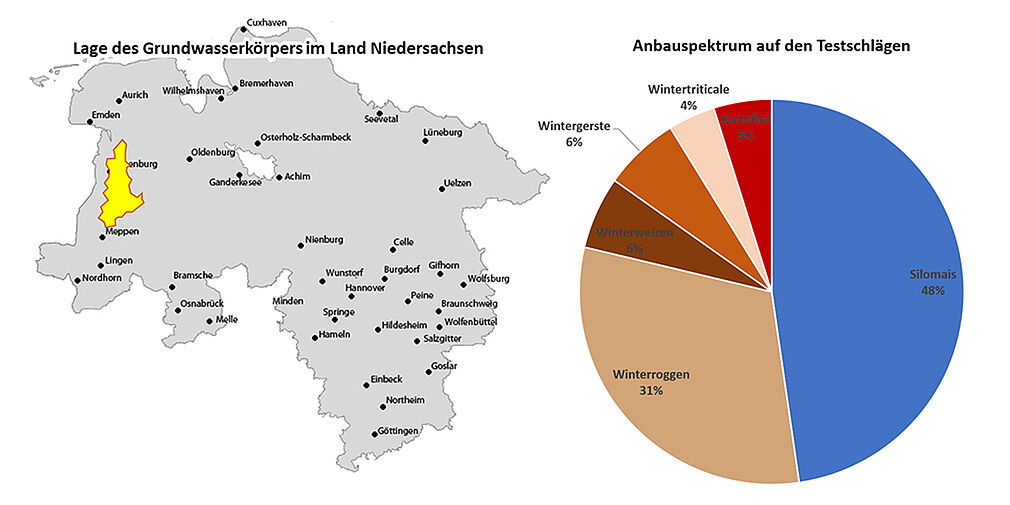 Lage des Grundwasserkörpers NI_37_3 (gelb) in Niedersachsen (links) und flächenbezogene Anbaustruktur 2024 auf den 72 Testschlägen im Testgebiet "Mittlere Ems" (rechts). (Abbildung links: Karte = stepmap.de, GWK © JKI, Anbauspektrum © INGUS).