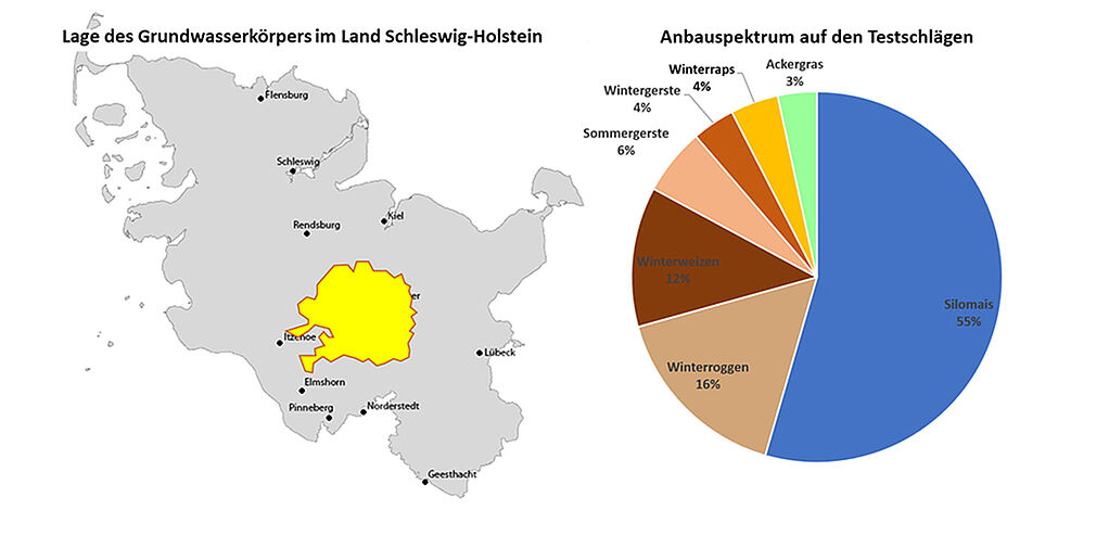 Lage des Grundwasserkörpers EI_08 (gelb) im Land Schleswig-Holstein (links) und flächenbezogene Anbaustruktur 2024 auf den 72 Testschlägen im Testgebiet "Vorgeest" (rechts). (Abbildung links: Karte = stepmap.de, GWK © JKI, Abbildung rechts: © INGUS).