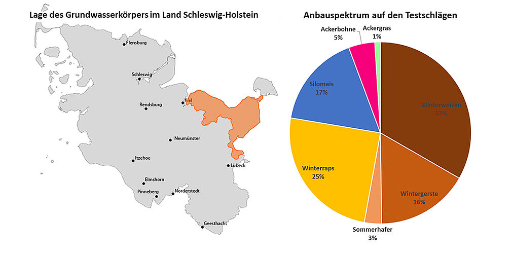 Lage des Grundwasserkörpers ST07 (gelb) im Land Schleswig-Holstein (links) und flächenbezogene Anbaustruktur 2024 auf den 72 Testschlägen im Testgebiet "Wagrien" (rechts). (Abbildung links: Karte = stepmap.de, GWK© INGUS, Abbildung rechts © INGUS).