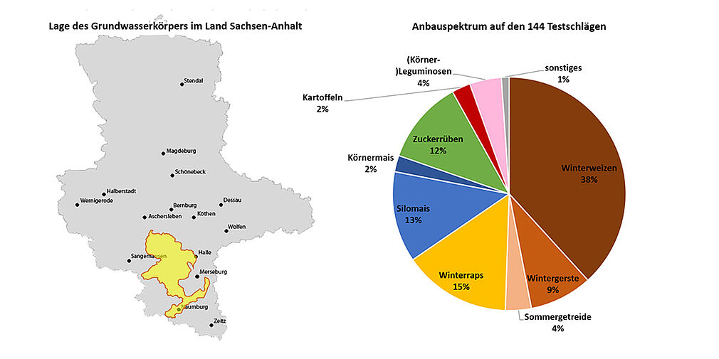 Lage des Grundwasserkörpers SAL GW 014 (gelb) im Land Sachsen-Anhalt (links) und flächenbezogene Anbaustruktur 2024 auf den 144 Testschlägen im Testgebiet "Querfurter Platte" (rechts). (Abbildung links: Karte = stepmap.de, GWK© INL, Abbildung rechts © INGUS).
