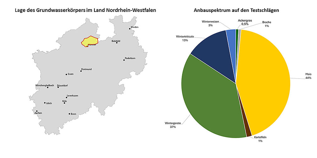 Lage des Grundwasserkörpers GWK 3_05 (gelb) im Land Nordrhein-Westfalen (links) und flächenbezogene Anbaustruktur 2024 auf den 72 Testschlägen im Testgebiet "Münsterland" (rechts). (Abbildung links: Karte = stepmap.de, GWK © JKI, Abbildung rechts: © IGLU).